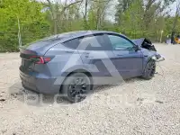 2023 Tesla Model Y photo