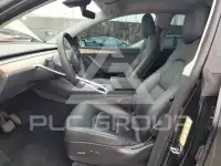 2023 Tesla Model Y photo