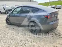 2023 Tesla Model Y photo