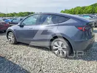 2023 Tesla Model Y photo