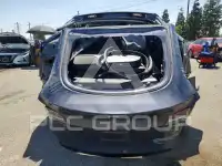 2023 Tesla Model Y photo