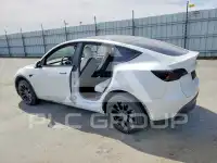 2023 Tesla Model Y photo