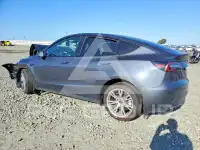 2023 Tesla Model Y фото