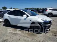 2023 Tesla Model Y photo