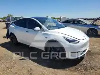 2023 Tesla Model Y photo