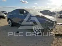 2023 Tesla Model Y photo