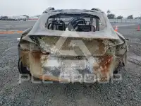 2023 Tesla Model Y фото