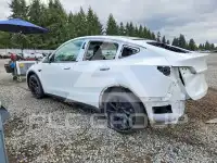 2023 Tesla Model Y фото