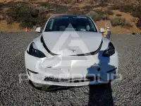 2023 Tesla Model Y фото