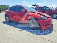 2023 Tesla Model Y photo