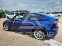 2023 Tesla Model Y photo