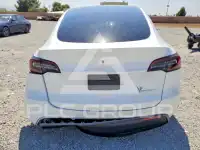 2023 Tesla Model Y фото