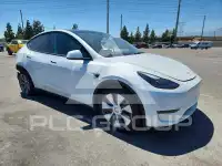 2023 Tesla Model Y фото