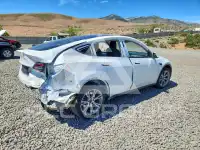 2023 Tesla Model Y photo