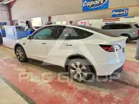 2023 Tesla Model Y фото