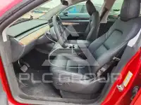 2023 Tesla Model Y photo