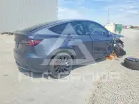2023 Tesla Model Y фото