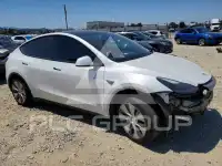 2023 Tesla Model Y photo