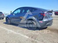 2023 Tesla Model Y photo