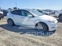 2023 Tesla Model Y фото