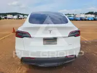 2023 Tesla Model Y photo
