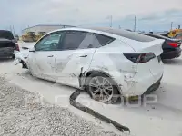 2023 Tesla Model Y фото