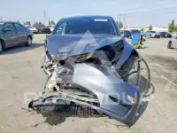 2023 Tesla Model Y photo