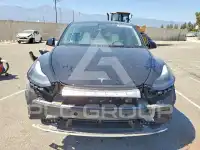 2023 Tesla Model Y фото