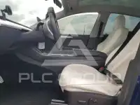 2023 Tesla Model Y photo