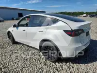 2023 Tesla Model Y фото