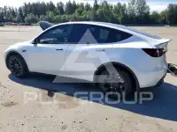 2023 Tesla Model Y photo