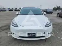 2023 Tesla Model Y фото
