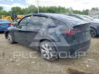 2023 Tesla Model Y photo