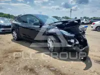 2023 Tesla Model Y photo