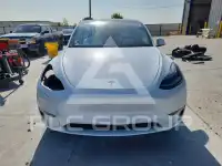 2023 Tesla Model Y фото