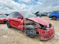 2023 Tesla Model Y photo