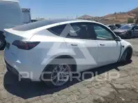2023 Tesla Model Y фото