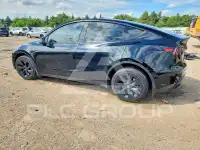 2023 Tesla Model Y photo