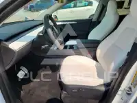 2023 Tesla Model Y фото