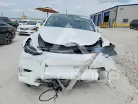 2023 Tesla Model Y фото
