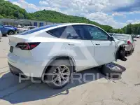 2023 Tesla Model Y photo