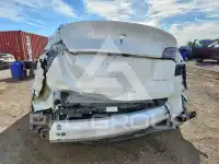 2023 Tesla Model Y фото