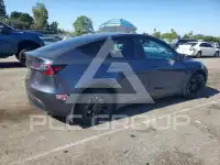 2023 Tesla Model Y photo