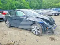 2023 Tesla Model Y photo
