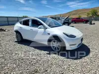 2023 Tesla Model Y photo