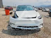 2023 Tesla Model Y фото