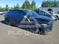 2023 Tesla Model Y photo