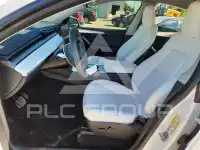 2023 Tesla Model Y photo
