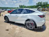 2023 Tesla Model Y фото