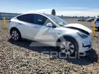 2023 Tesla Model Y photo